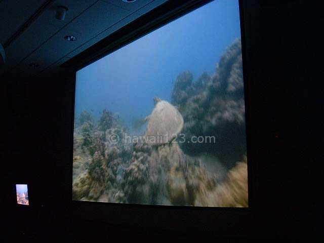 ハナウマベイのシアターで上映される自然保護に関するフィルム