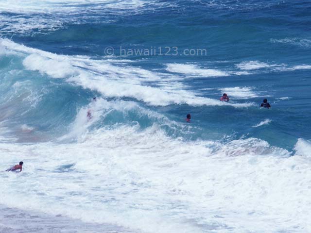 マカプウビーチにやって来る大きな波