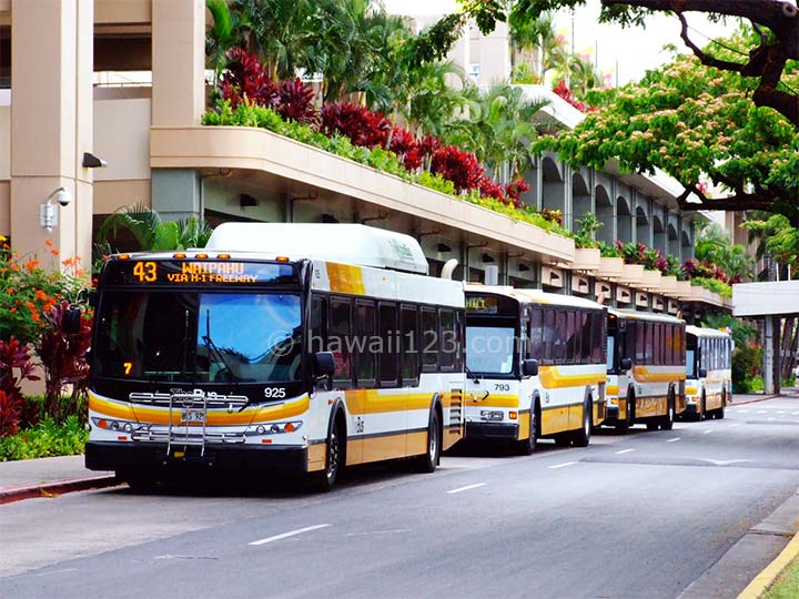 多くのバスが集まるトランジットセンター