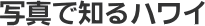 �ʐ^�Œm��n���C
