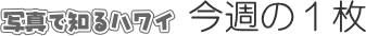 �ʐ^�Œm��n���C�@���T�̂P��