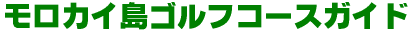 �����J�C���S���t�R�[�X�K�C�h