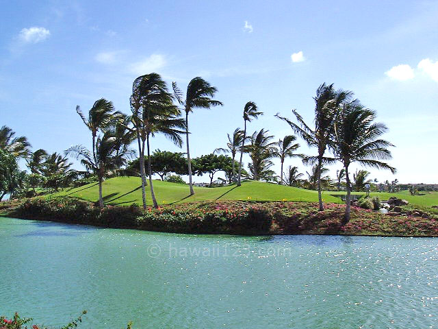 カポレイゴルフクラブの池とグリーン