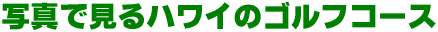 �ʐ^�Ō���n���C�̃S���t�R�[�X
