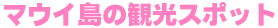 �}�E�C���̊ό��X�|�b�g