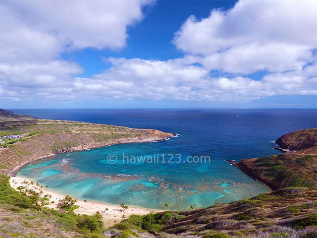 ハナウマベイ全景