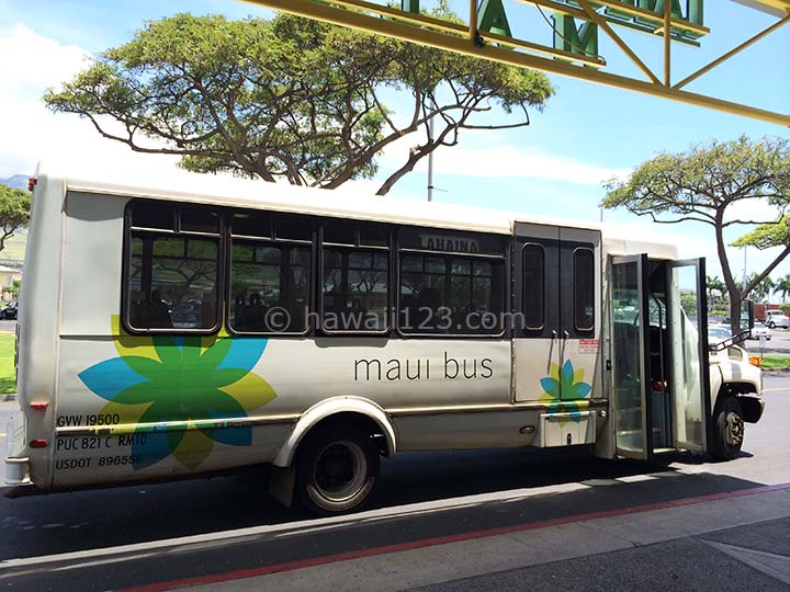 マウイ島のバス