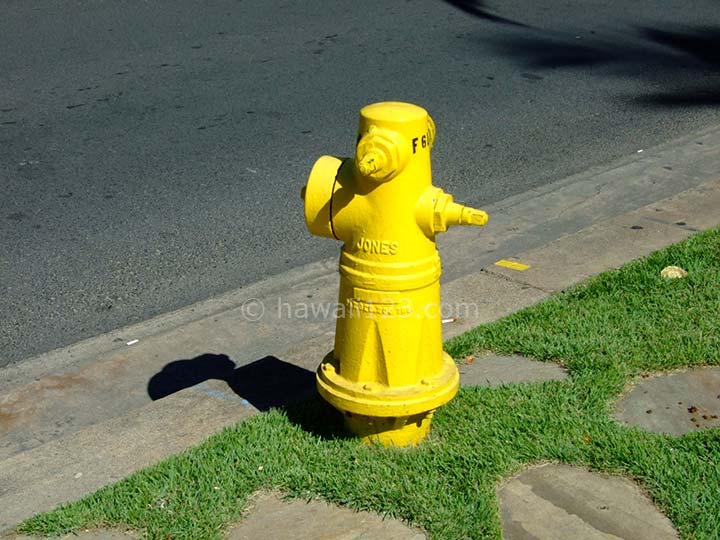 ハワイの道路沿いの消火栓