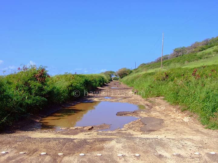 オアフ島カエナポイントへの道路