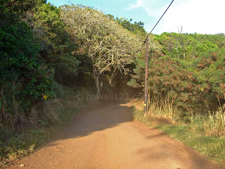 カウポ周辺のダート道路