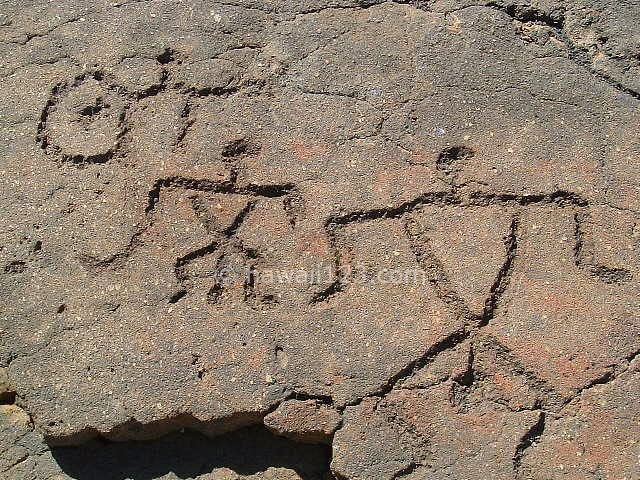 ペトログリフ（ハワイ島）