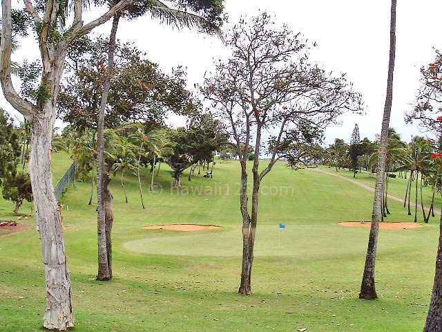 パールカントリークラブのホール沿いの樹木