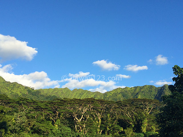 緑豊かなマノアの山並み