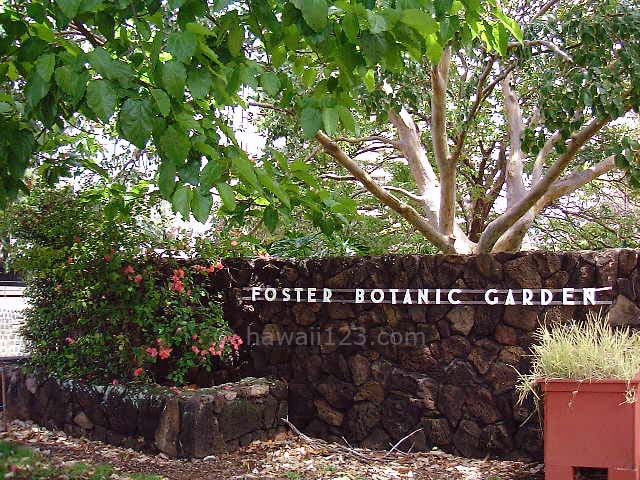 Foster Botanic Gardenと表記されたエントランス