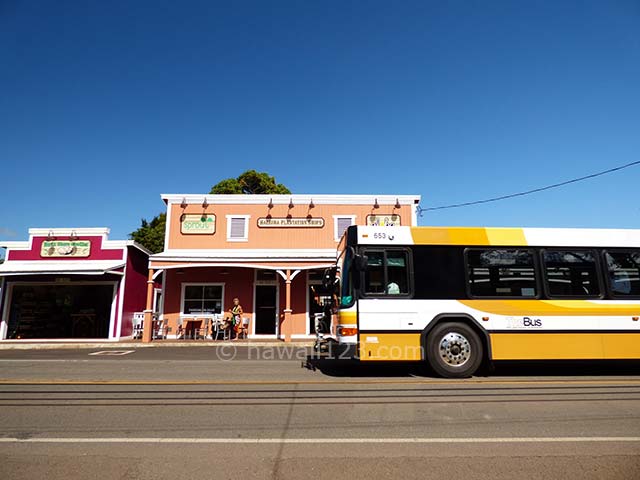 ハレイワの町を走る55番のバス