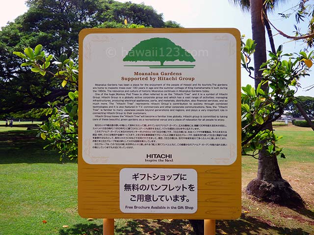 モアナルアガーデンにある日立の樹を紹介する看板