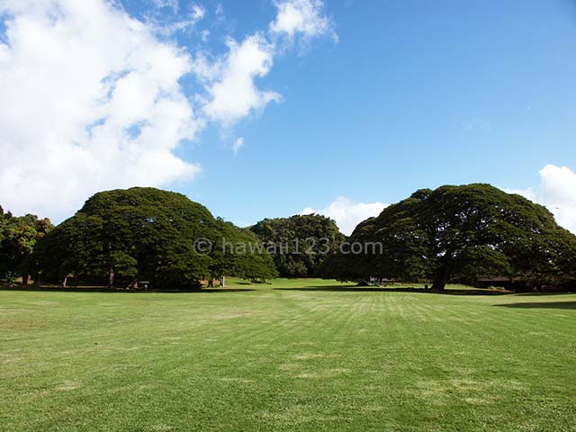 モアナルアガーデンの園内風景