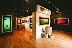 ピーター・リック ラハイナギャラリー／5周年記念キャンペーン