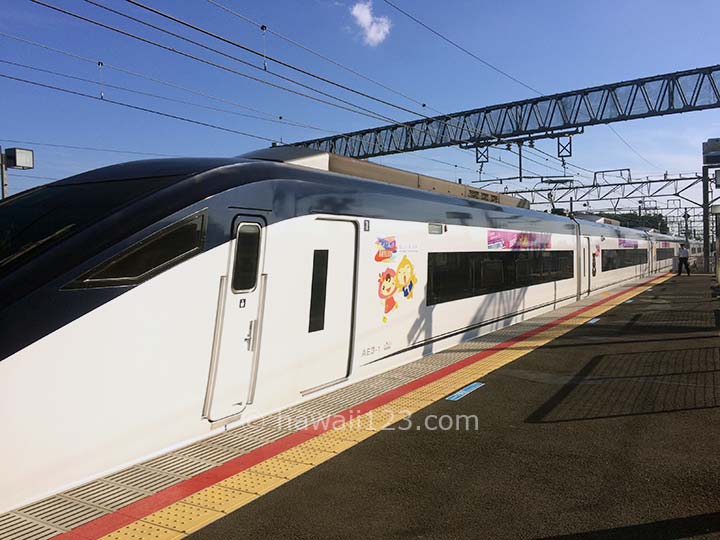 成田空港に向かうスカイライナー