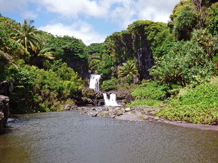 ハワイのジャングルの滝と川